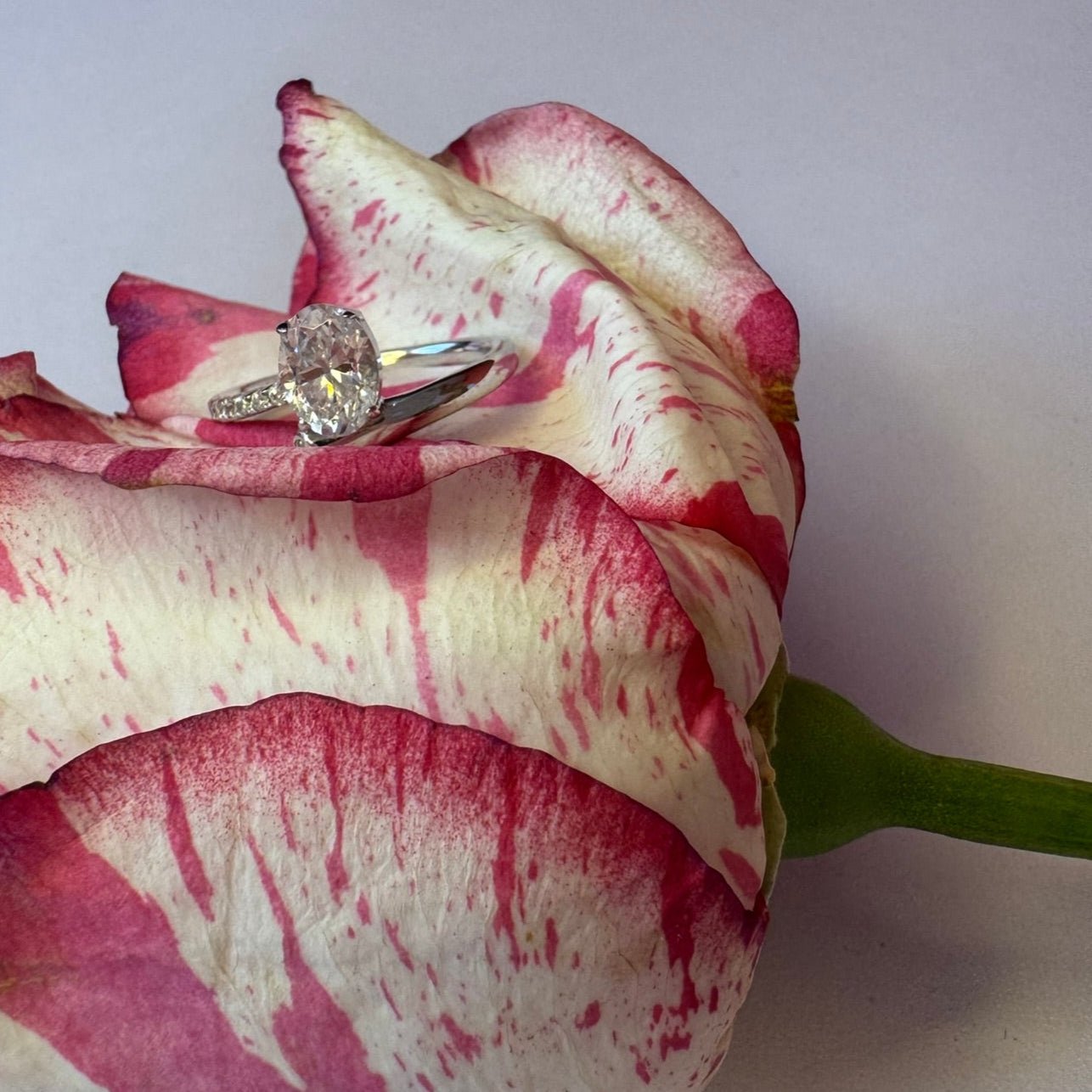 Nisida Oval Pavé Wrap Ring - Rings | Moarén